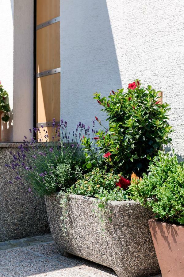 Rozna Dolina Apartment Ljubljana Eksteriør billede